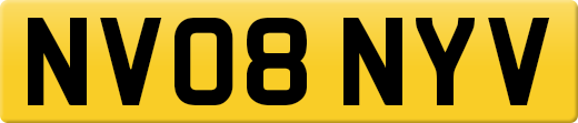 NV08NYV